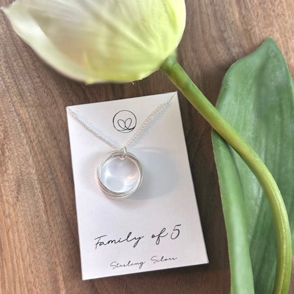 Family of 5 sterling silver necklace with five intertwined rings, symbolizing the unbreakable bond between family members. Handcrafted on an 18” silver chain.