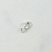 Lobster Clasp